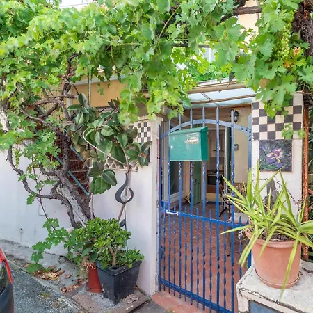 La Succulente - T1 Bis Climatise Proche Apartment *